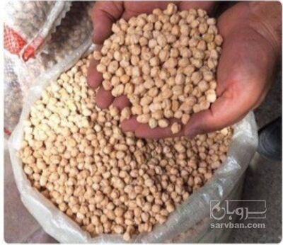 فروش نخود