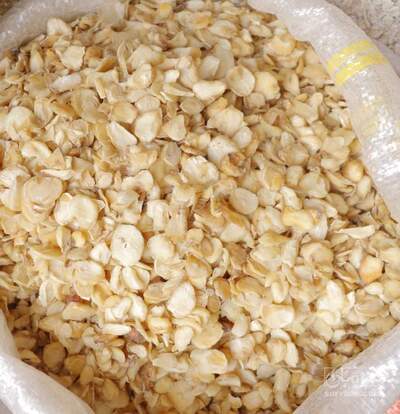 فروش سیر