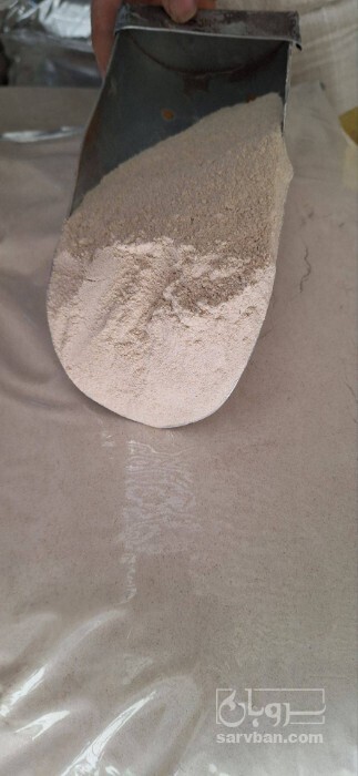 فروش پودر سیر