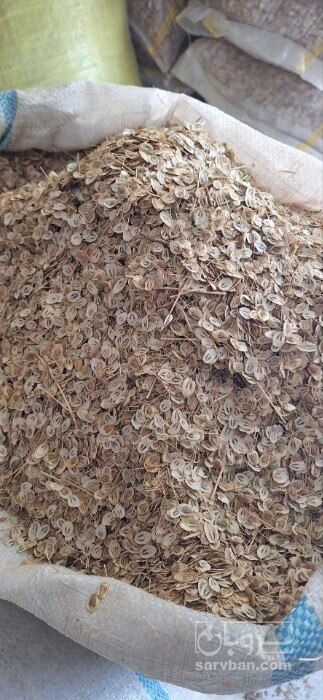 فروش گلپر (گیاه‌ دارویی)