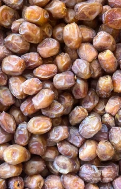 فروش خرما کلوته