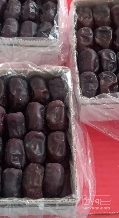 فروش خرما مضافتی