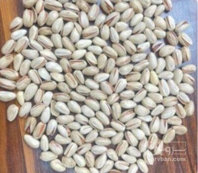 فروش پسته
