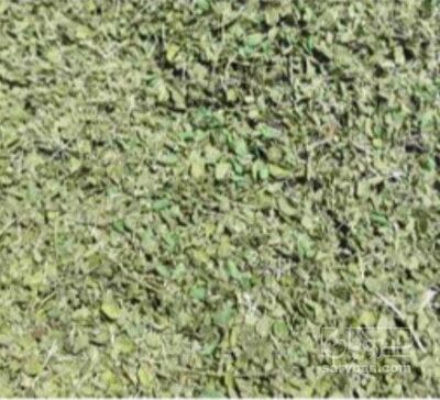 فروش برگ آویشن (گیاه‌ دارویی)