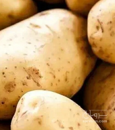 فروش سیب زمینی