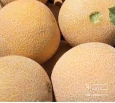 فروش ملون