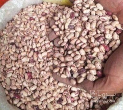 فروش لوبیا چیتی
