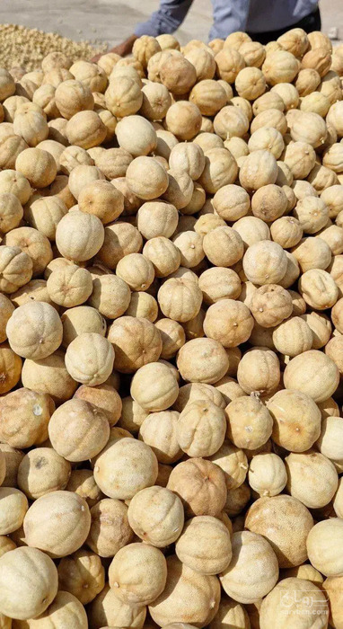 فروش لیمو خشک