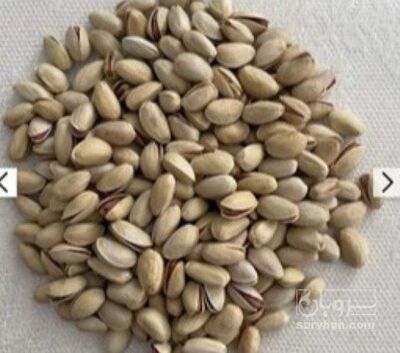 فروش پسته