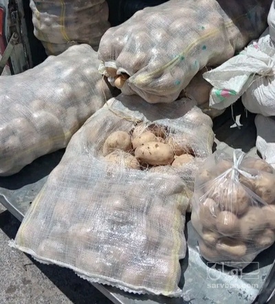 فروش سیب زمینی جلی