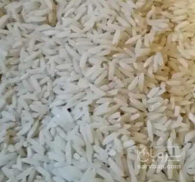 فروش برنج عنبر بو
