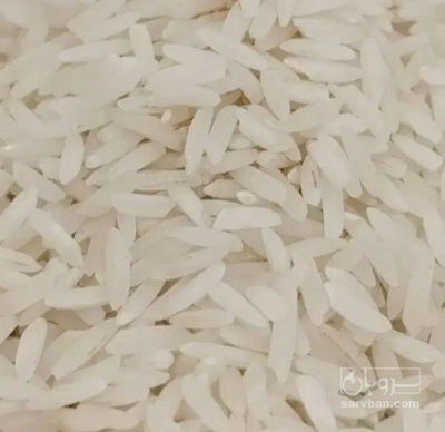 فروش برنج لنجان