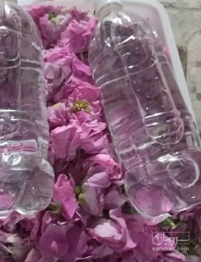 فروش عرق گلاب