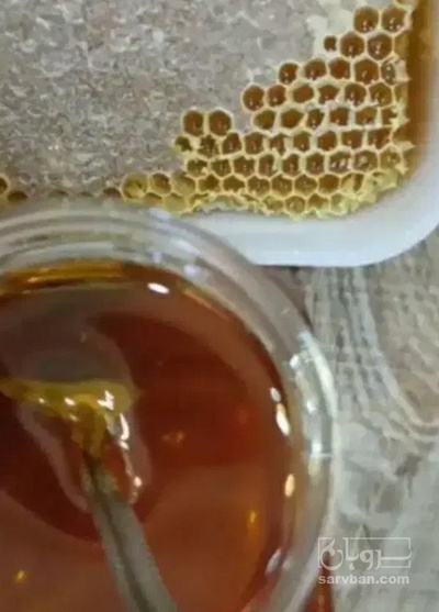 فروش عسل رازیانه