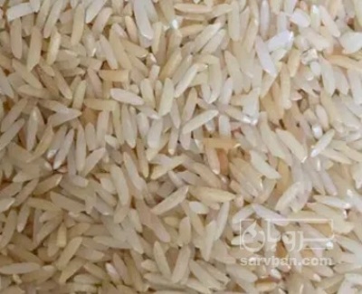 فروش برنج چمپا