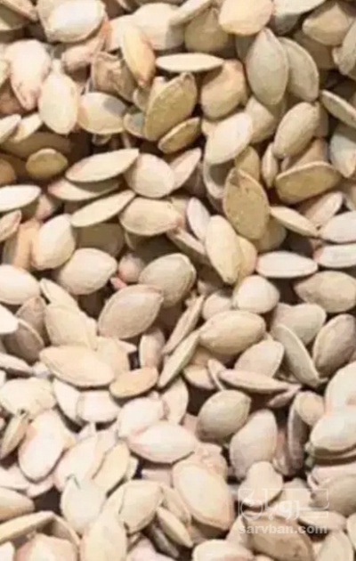 فروش تخمه  کدو بو داده