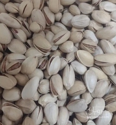 فروش پسته