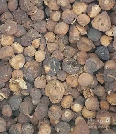 فروش انجیر خشک شکلاتی