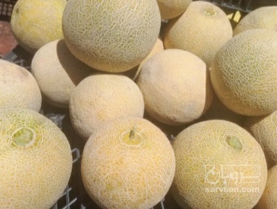 فروش ملون