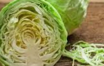 فروش کلم برگی