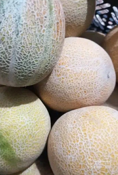 فروش ملون