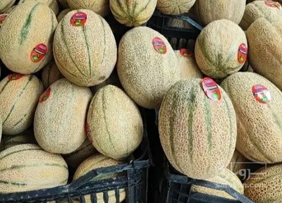 فروش طالبی جانا