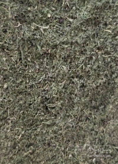 فروش نعناع خشک (گیاه‌ دارویی)