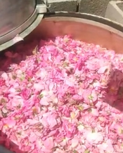 فروش عرق گلاب