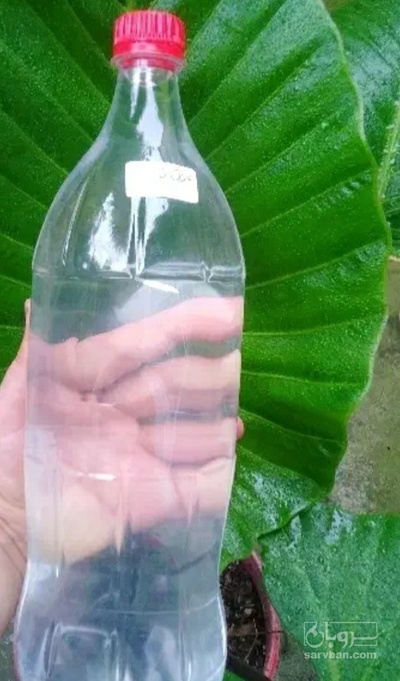 فروش عرق بهارنارنج