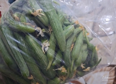 فروش خیار