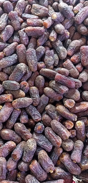 فروش خرما