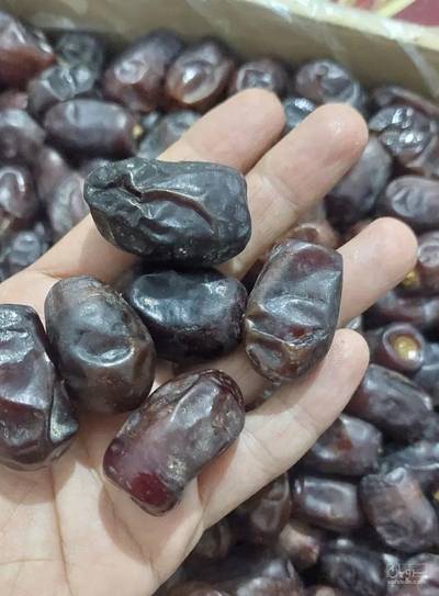 فروش خرما