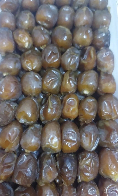 فروش خرما