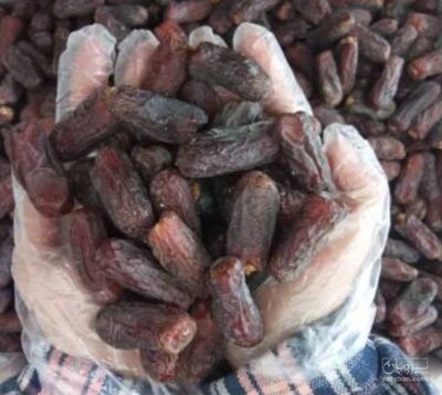 فروش خرما پیارم
