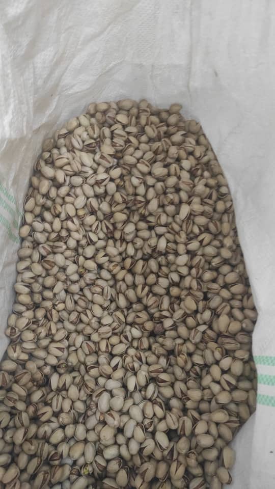 فروش انواع پسته