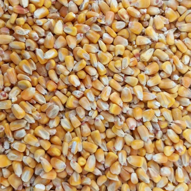 فروش چاپر ذرت - سیلاژ ذرت