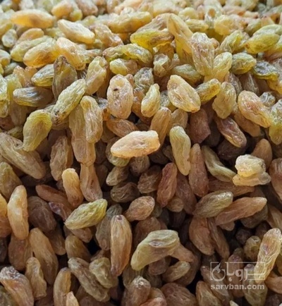 فروش کشمش سبز قلمی