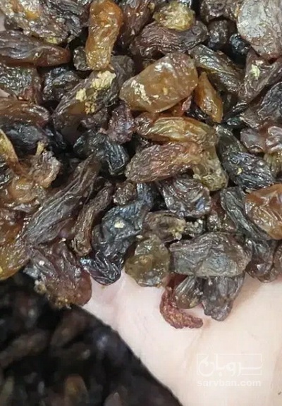 فروش کشمش ابگیری