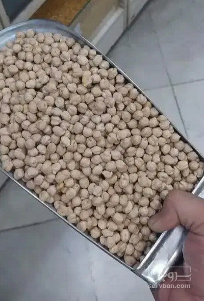 فروش نخود