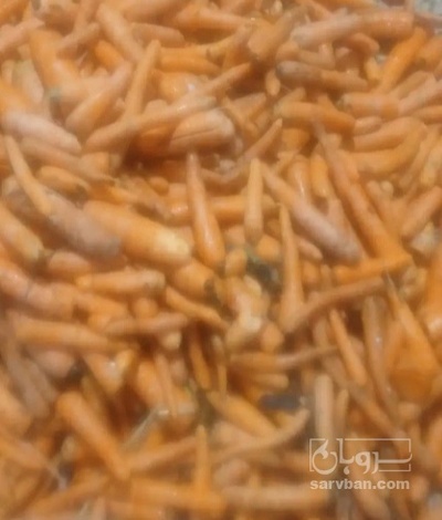 فروش هویج