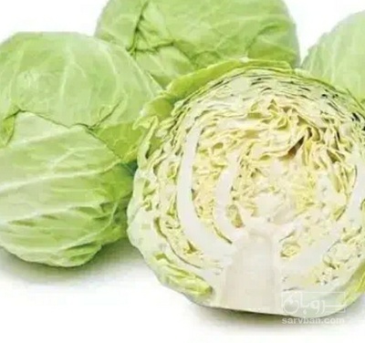 فروش کلم برگی