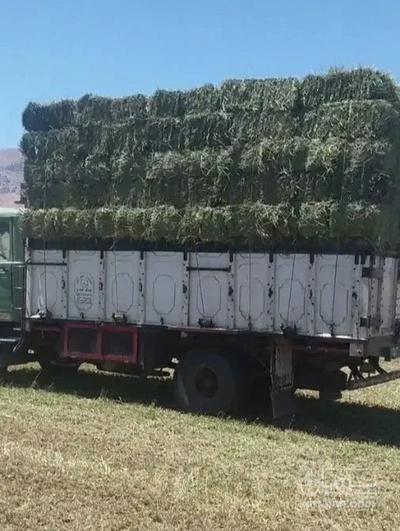 فروش یونجه
