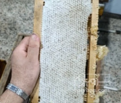 فروش انواع عسل