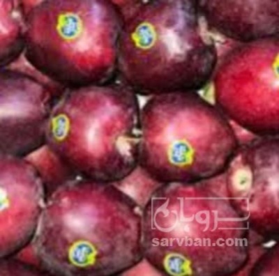 فروش سیب