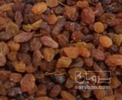 فروش کشمش