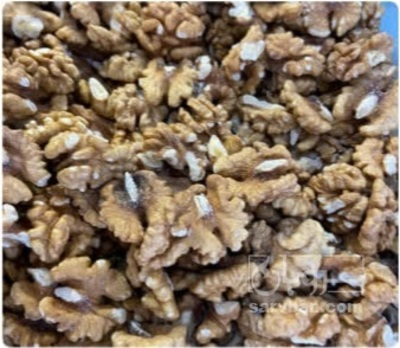 فروش گردو