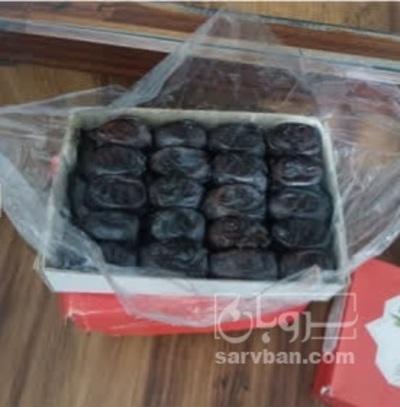 فروش خرما