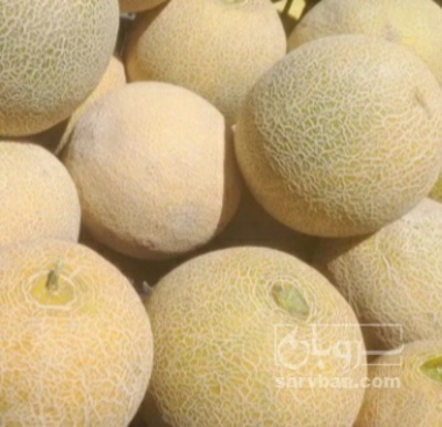 فروش ملون