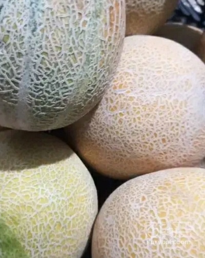 فروش ملون