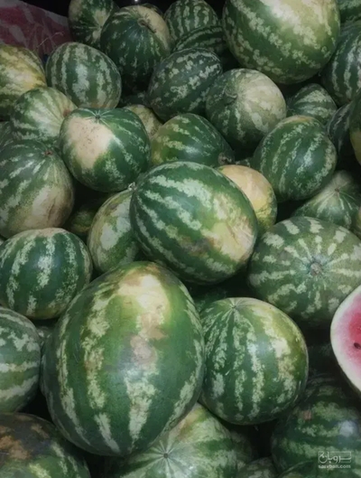 فروش هندوانه